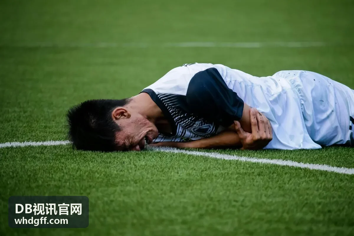 DB视讯会议方案